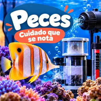 Peces